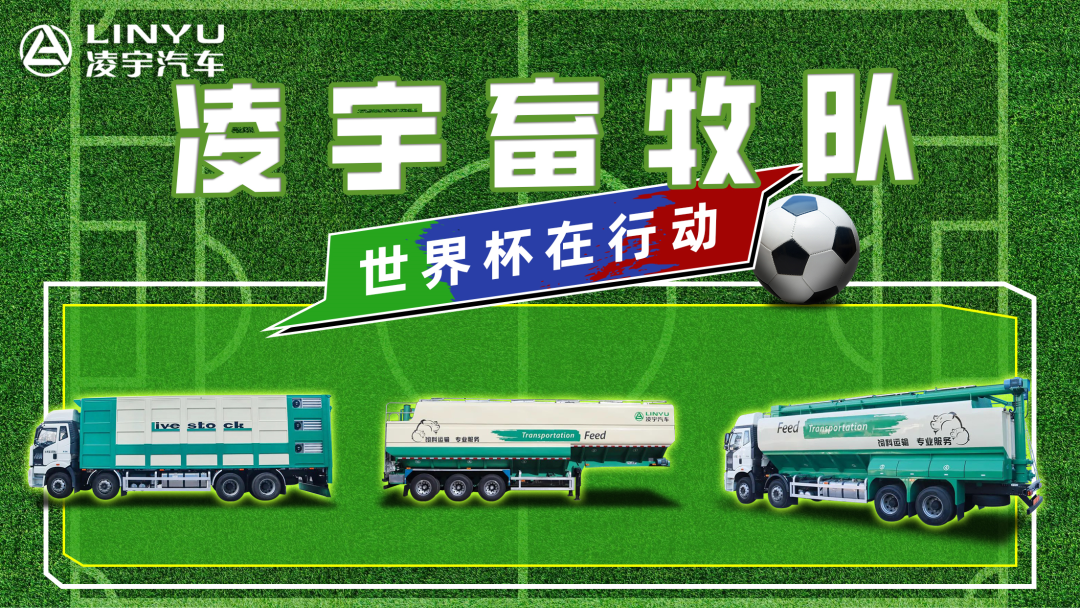 奪冠世界杯！你注意到這支球隊(duì)了嗎？